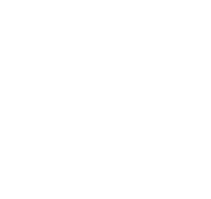 View-logo-blanco